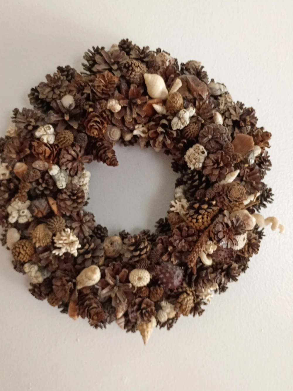 Stunning Natural Pinecone & Shell Wreath - Brown Sz 13x13